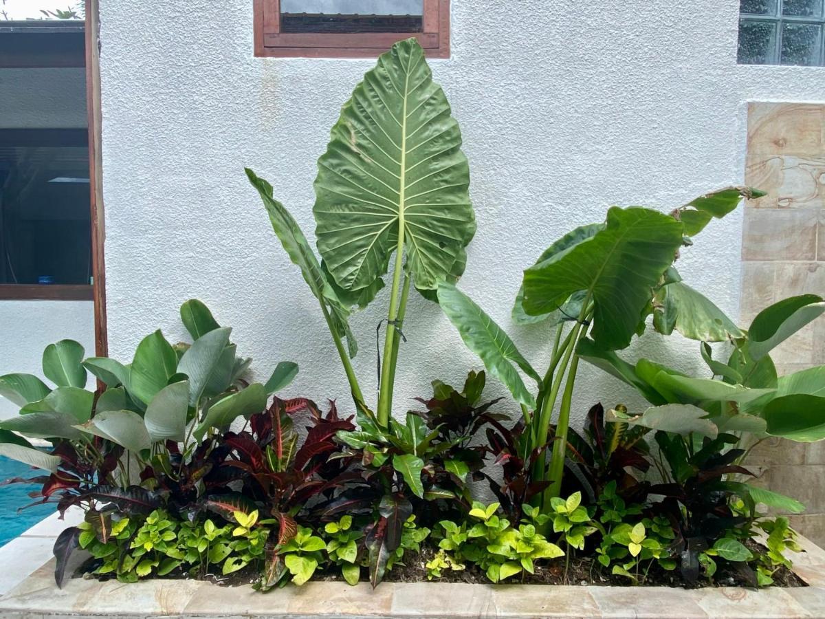 Belharra Villa Seminyak (Bali)