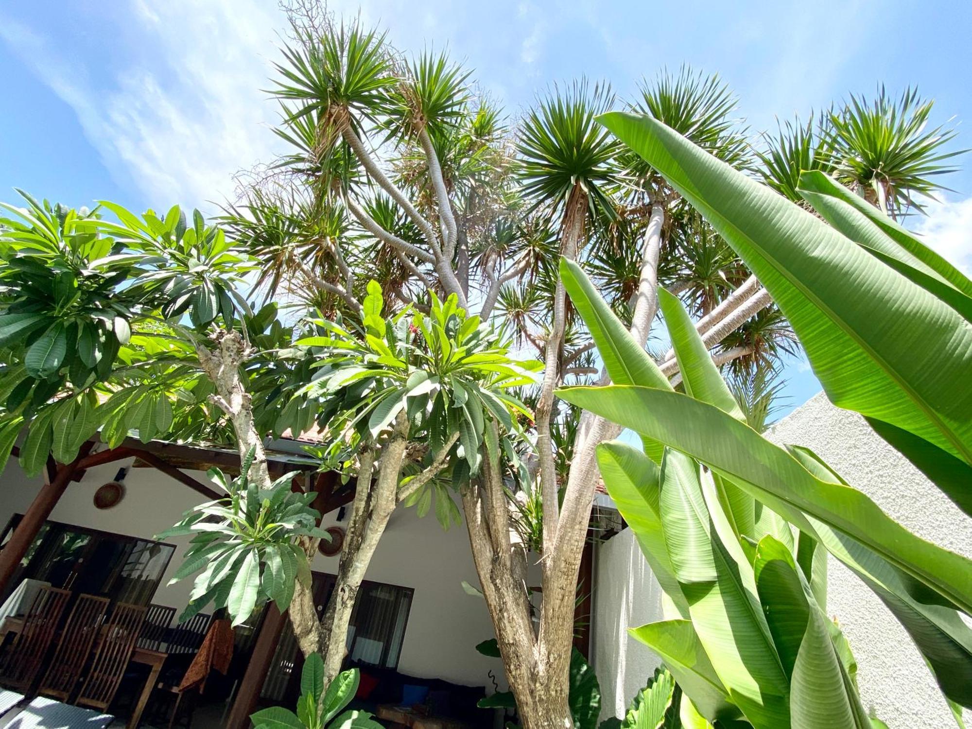 Belharra Villa Seminyak (Bali)